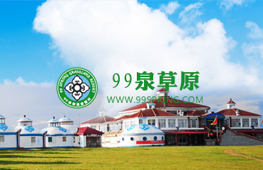 内蒙古网站建设,99泉草原度假村微官网